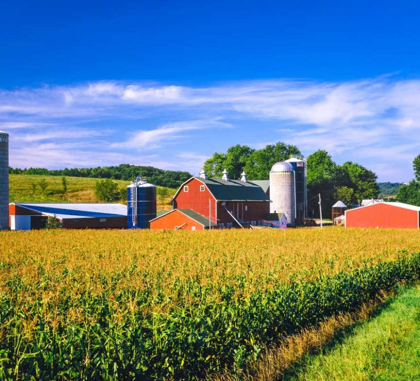 Home is Where the Farm is