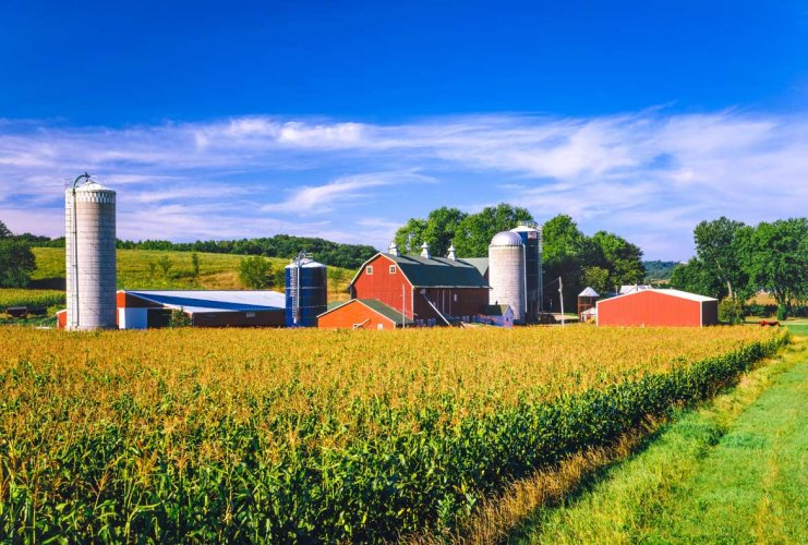 Home is Where the Farm is