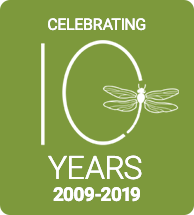 Bonnefield 10 years anniversary badge
