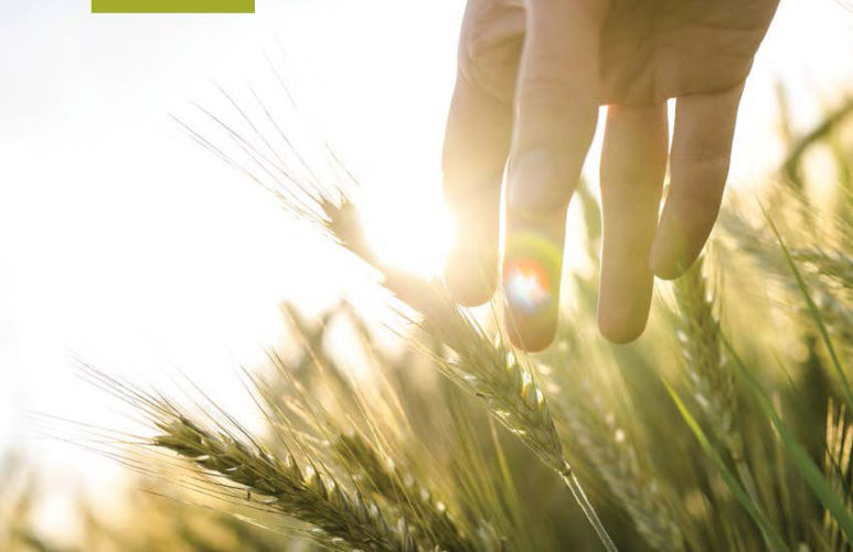 Farmland Lease Financing