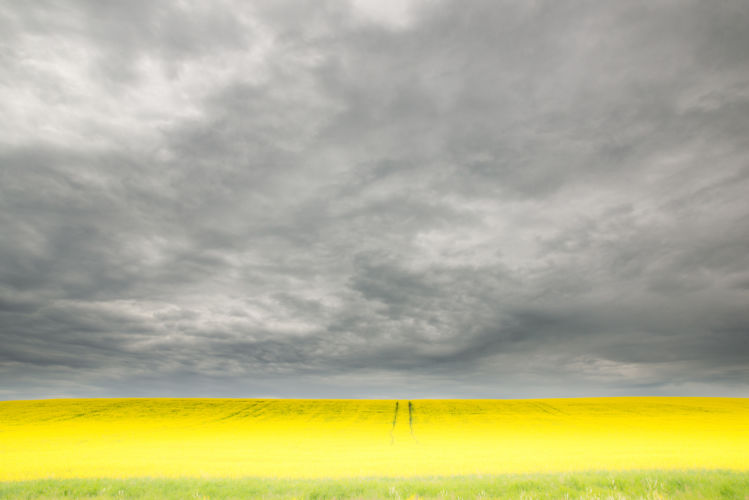 The Role of Farmland in Mitigating Climate Change